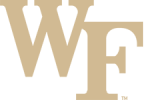 DT Image